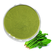 Vegan Snack Food Ingredients 100% Pure Natural Organic Spinach Powder